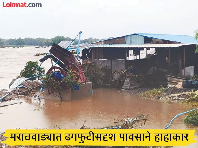 Heavy rains claim 6 lives in Marathwada; Heavy rains wreak havoc in 57 revenue circles | मुसळधार पावसाचे मराठवाड्यात ६ बळी; ५७ महसुली मंडळांत अतिवृष्टीने हाहाकार Heavy rains claim 6 lives in Marathwada; Heavy rains wreak havoc in 57 revenue circles | मुसळधार पावसाचे मराठवाड्यात ६ बळी; ५७ महसुली मंडळांत अतिवृष्टीने हाहाकार