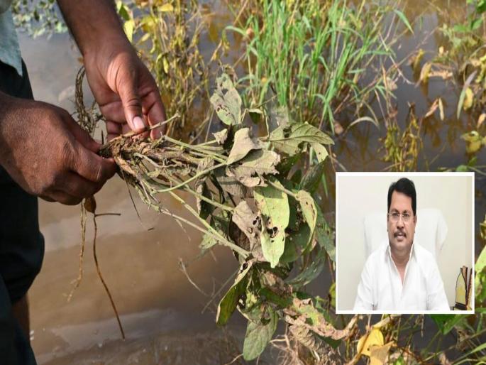 The Mahayuti government cheated the farmers, the farmers were black during Diwali; Congress's blunt criticism | महायुती सरकारने केली शेतकऱ्यांची फसवणूक, शेतकऱ्यांची दिवाळी काळी; काँग्रेसची बोचरी टीका The Mahayuti government cheated the farmers, the farmers were black during Diwali; Congress's blunt criticism | महायुती सरकारने केली शेतकऱ्यांची फसवणूक, शेतकऱ्यांची दिवाळी काळी; काँग्रेसची बोचरी टीका