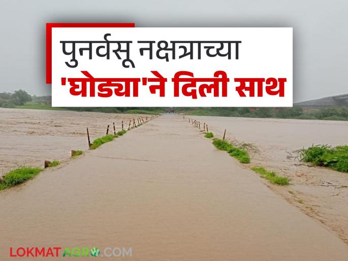 latest news Marathwada Rain Update: Strong return of rain; Revitalization of crops in Marathwada Read in detail | Marathwada Rain Update : पावसाचे दमदार पुनरागमन; मराठवाड्यात पिकांना नवसंजीवनी वाचा सविस्तर latest news Marathwada Rain Update: Strong return of rain; Revitalization of crops in Marathwada Read in detail | Marathwada Rain Update : पावसाचे दमदार पुनरागमन; मराठवाड्यात पिकांना नवसंजीवनी वाचा सविस्तर