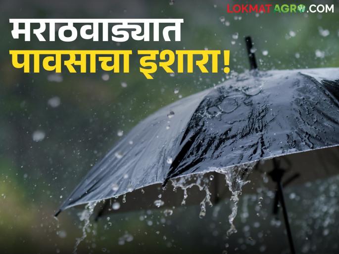 latest news Marathwada Weather Update: Weather will change in Marathwada; Read the alert in detail | Marathwada Weather Update : मराठवाड्यात हवामान बदलणार; काय आहे अलर्ट वाचा सविस्तर