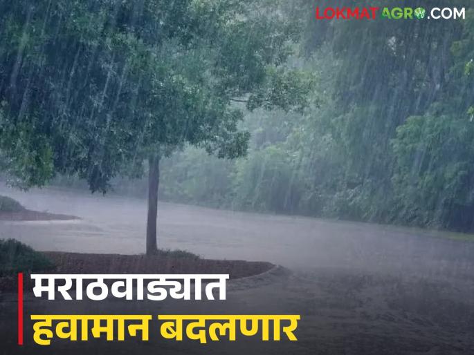 latest news Marathwada Weather Update: IMD Alert; Read in detail what the weather will be like in Marathwada for the next four days. | Marathwada Weather Update : IMD अलर्ट; पुढील चार दिवस मराठवाड्यात कसे असेल हवामान वाचा सविस्तर latest news Marathwada Weather Update: IMD Alert; Read in detail what the weather will be like in Marathwada for the next four days. | Marathwada Weather Update : IMD अलर्ट; पुढील चार दिवस मराठवाड्यात कसे असेल हवामान वाचा सविस्तर