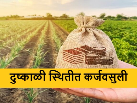 Sir, there is no water to drink, the crops have dried up, there is no market price, this levy should be stopped! | साहेब प्यायला पाणी नाही, पिके सुकली, बाजारभाव नाही, ही वसुली थांबवावी! Sir, there is no water to drink, the crops have dried up, there is no market price, this levy should be stopped! | साहेब प्यायला पाणी नाही, पिके सुकली, बाजारभाव नाही, ही वसुली थांबवावी!