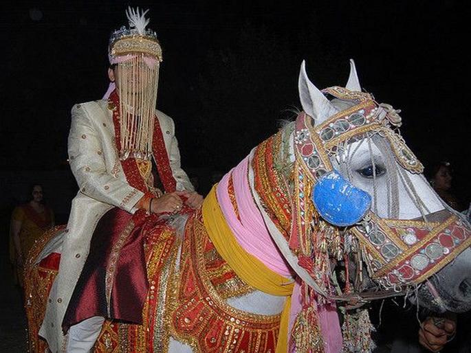 Why does groom sits mare and not horse his marriage, know the reason | लग्नात नवरदेव घोडीवरच का बसतात, घोड्यावर का नाही? जाणून घ्या अजब कारण... Why does groom sits mare and not horse his marriage, know the reason | लग्नात नवरदेव घोडीवरच का बसतात, घोड्यावर का नाही? जाणून घ्या अजब कारण...