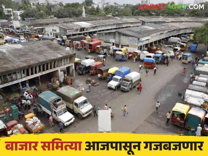 Market committee : Transactions between Agricultural Produce Market Committees will be smooth from today | Market committee : कृषी उत्पन्न बाजार समित्यांमधील व्यवहार आजपासून होणार सुरळीत Market committee : Transactions between Agricultural Produce Market Committees will be smooth from today | Market committee : कृषी उत्पन्न बाजार समित्यांमधील व्यवहार आजपासून होणार सुरळीत