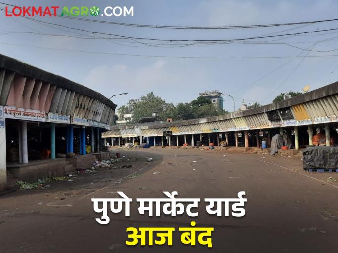 Pune Gultekdi Market Committee will remain closed today farmer updates | Pune Market Yard Close Today : पुणे गुलटेकडी बाजार समिती आज राहणार बंद Pune Gultekdi Market Committee will remain closed today farmer updates | Pune Market Yard Close Today : पुणे गुलटेकडी बाजार समिती आज राहणार बंद