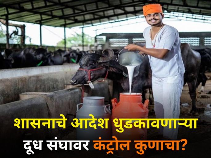 Whose control over the milk producers Refusal obey government orders price cut even after minister meeting | शासनाचे आदेश धुडकावणाऱ्या दूध संघावर कंट्रोल कुणाचा? बैठकीनंतरही दूध दरात कपात Whose control over the milk producers Refusal obey government orders price cut even after minister meeting | शासनाचे आदेश धुडकावणाऱ्या दूध संघावर कंट्रोल कुणाचा? बैठकीनंतरही दूध दरात कपात