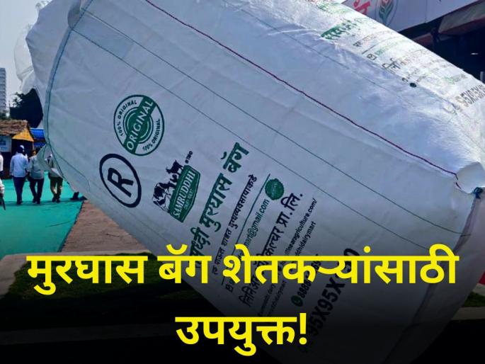 No tension of animal feed Store only once Fodder for whole year murghas Bag useful for farmers | एकदाच साठवून ठेवा वर्षभरासाठीचा चारा, मुरघास बॅग शेतकऱ्यांसाठी उपयुक्त