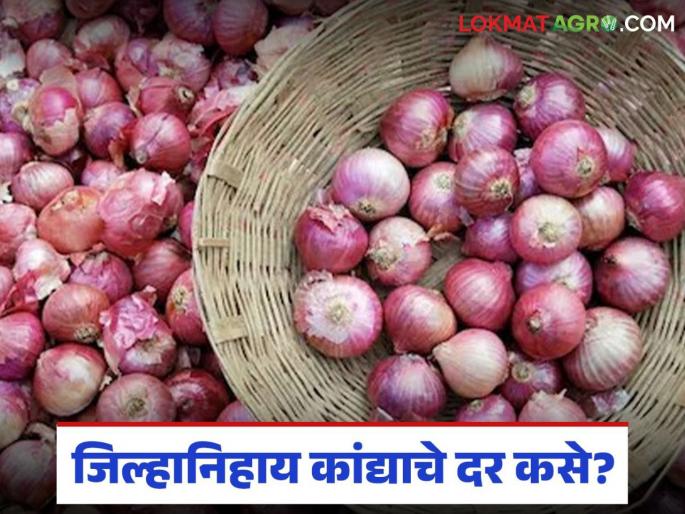 Latest news kanda Market How much red onion has arrived in Nashik, what price did you get today see details | Kanda Market : नाशिकला लाल कांद्याची आवक किती होतेय, आज काय दर मिळाले? 
