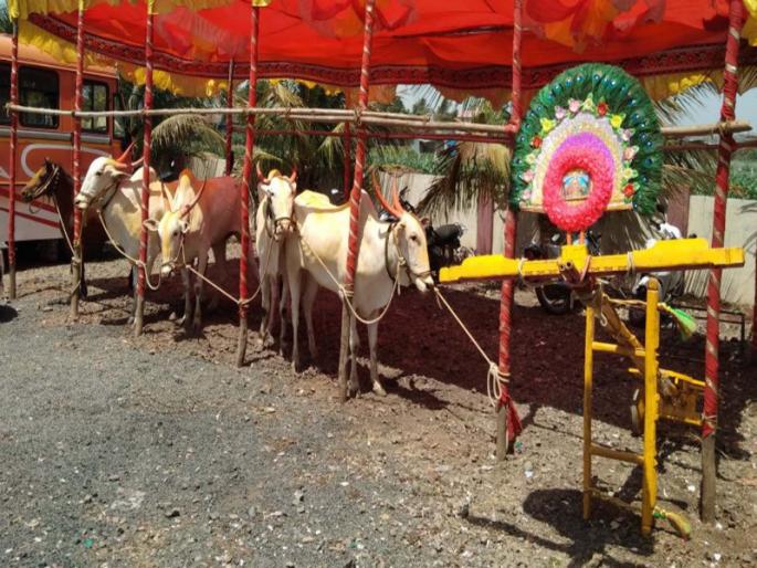 surprise gift to marriage come peoples by bride father | वधूपित्याने दिलेल्या ‘अनोख्या ’ भेटीने वऱ्हाडी मंडळींना आश्चर्याचा धक्का surprise gift to marriage come peoples by bride father | वधूपित्याने दिलेल्या ‘अनोख्या ’ भेटीने वऱ्हाडी मंडळींना आश्चर्याचा धक्का