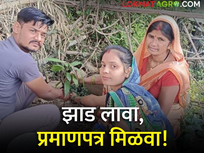 Latest News Plant a tree, get marriage registration certificate gondiya dinstrict innovation | एक झाड लावा, विवाह नोंदणी प्रमाणपत्र मिळवा, पर्यावरण संवर्धनासाठी ग्रामपंचायतीचा पुढाकार  Latest News Plant a tree, get marriage registration certificate gondiya dinstrict innovation | एक झाड लावा, विवाह नोंदणी प्रमाणपत्र मिळवा, पर्यावरण संवर्धनासाठी ग्रामपंचायतीचा पुढाकार