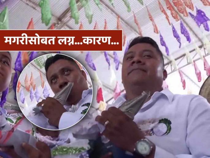 Mexico mayor marries crocodile know the reason of this tradition | काय बोलणार! महापौरानं केलं मगरीशी लग्न, प्रकार तसा विचित्रच- एका लग्नाची भलतीच गोष्ट