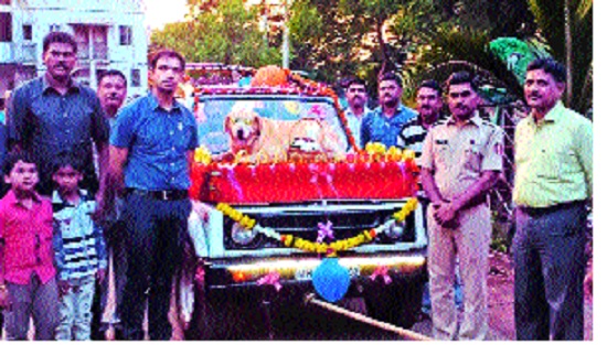 Farewell to the 'Martial' Shawna's retirement, Sangli police force | ‘मार्शल’ श्वानाची थाटात सेवानिवृत्ती, सांगली पोलीस दलातर्फे त्याचा सत्कार