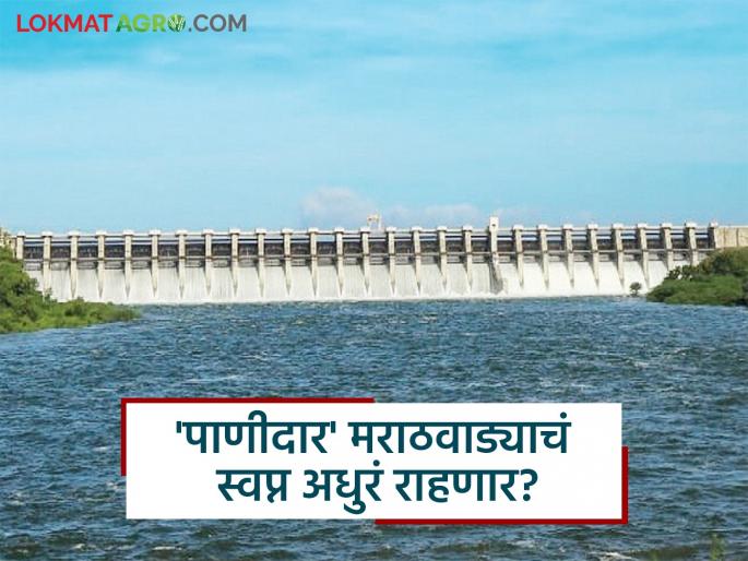 latest news Water Conservation Projects: The government broke the dream of a water-rich Marathawada; Read the government's 'break' to the projects in detail | Water Conservation Projects : पाणीदार मराठवाड्याचे स्वप्न सरकारने मोडले; योजनांना सरकारी 'ब्रेक' वाचा सविस्तर