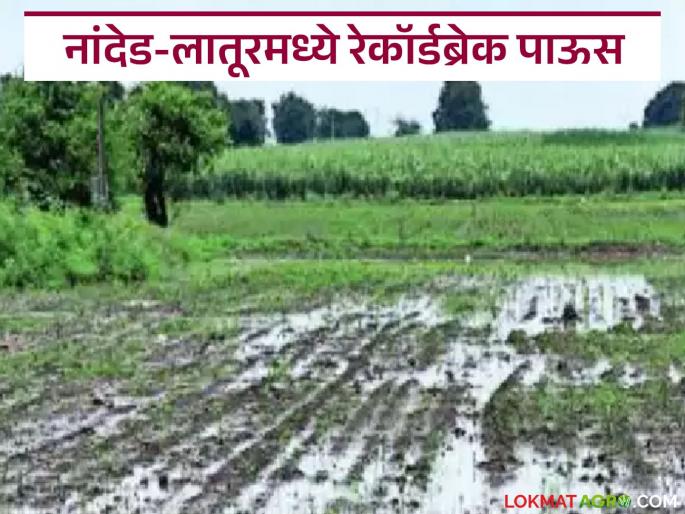 latest news Marathwada Rain Update: Record-breaking rainfall recorded in Nanded and Latur; Fear of heavy rain in Marathwada | Marathwada Rain Update : नांदेड व लातूरमध्ये रेकॉर्डब्रेक पावसाची नोंद; मराठवाड्यात अतिवृष्टीची धास्ती