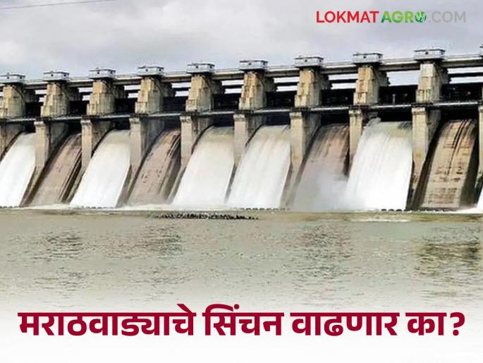 Marathwada Water Issue: latest news Injustice to Marathwada for receiving arrears of grant as per Nagpur Agreement | Marathwada Water Issue : नागपूर करारानुसार अनुशेष अनुदान मिळण्यास मराठवाड्यावर अन्याय Marathwada Water Issue: latest news Injustice to Marathwada for receiving arrears of grant as per Nagpur Agreement | Marathwada Water Issue : नागपूर करारानुसार अनुशेष अनुदान मिळण्यास मराठवाड्यावर अन्याय