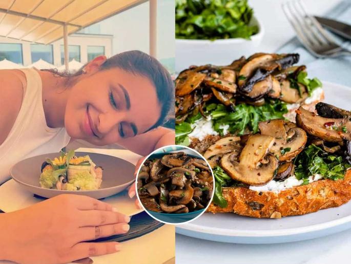 Parineeti Chopra reveals her favorite dish that can be made in 5 minutes - Mushroom Toast, Easy recipe - Nutritious food | परिनीती चोप्राने सांगितली ५ मिनिटांत होणारी तिची आवडती डिश-मशरुम टोस्ट! रेसिपी सोपी -पौष्टिक पदार्थ Parineeti Chopra reveals her favorite dish that can be made in 5 minutes - Mushroom Toast, Easy recipe - Nutritious food | परिनीती चोप्राने सांगितली ५ मिनिटांत होणारी तिची आवडती डिश-मशरुम टोस्ट! रेसिपी सोपी -पौष्टिक पदार्थ