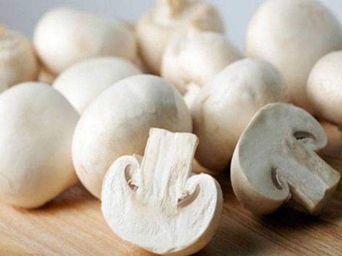 Health tips things to remember while purchasing mushrooms | आरोग्यासाठी घातक ठरतात 'हे' मशरूम; खरेदी करताना अशी घ्या काळजी Health tips things to remember while purchasing mushrooms | आरोग्यासाठी घातक ठरतात 'हे' मशरूम; खरेदी करताना अशी घ्या काळजी