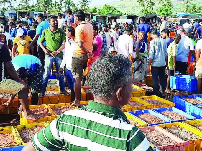 Fish prices dropped by local brokers? | मासळीचे दर स्थानिक दलालांनीच पाडले?- मच्छिमारांचा आरोप Fish prices dropped by local brokers? | मासळीचे दर स्थानिक दलालांनीच पाडले?- मच्छिमारांचा आरोप