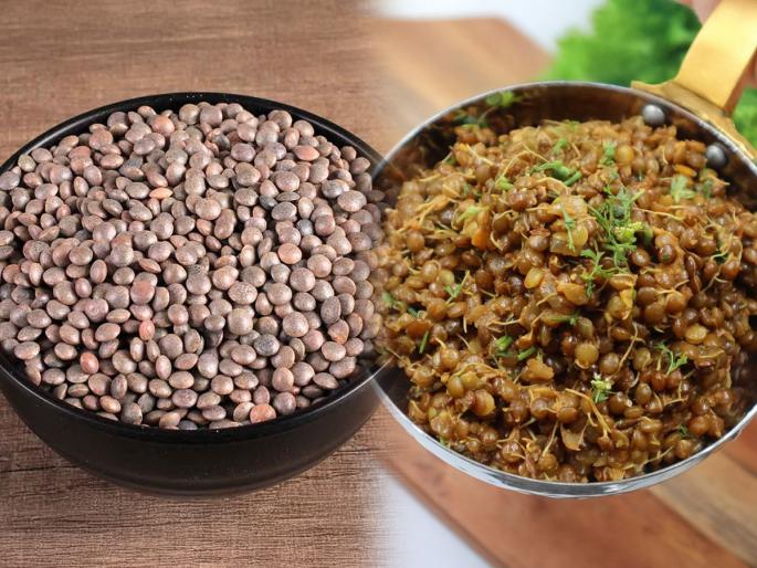 quick lunchbox sprouted masoor usal recipe easy tiffin recipes for busy mornings healthy lunchbox ideas | सकाळच्या घाईत डब्यासाठी काय करायचं? झटपट होणारी मोड आलेली मसूरची उसळ, चमचमीत- झणझणीत रेसिपी
