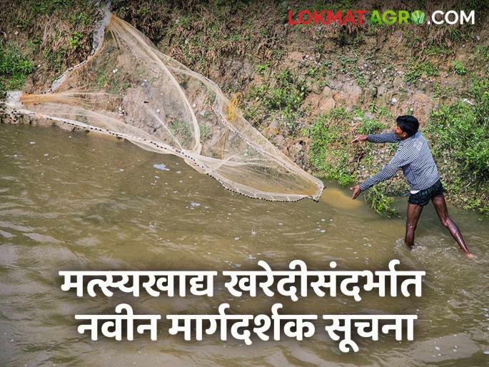 Latest News fish farming New guidelines regarding fish feed procurement have been implemented | मत्स्यखाद्य खरेदीसंदर्भात नवीन मार्गदर्शक सूचना लागू, काय आहेत या सूचना? Latest News fish farming New guidelines regarding fish feed procurement have been implemented | मत्स्यखाद्य खरेदीसंदर्भात नवीन मार्गदर्शक सूचना लागू, काय आहेत या सूचना?