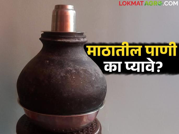 How does the water in the clay pot cool down? And how is it beneficial for health? Find out in detail | माठातील पाणी कसे थंड होते? व त्याचा आरोग्यासाठी कसा फायदा होतो? जाणून घ्या सविस्तर How does the water in the clay pot cool down? And how is it beneficial for health? Find out in detail | माठातील पाणी कसे थंड होते? व त्याचा आरोग्यासाठी कसा फायदा होतो? जाणून घ्या सविस्तर