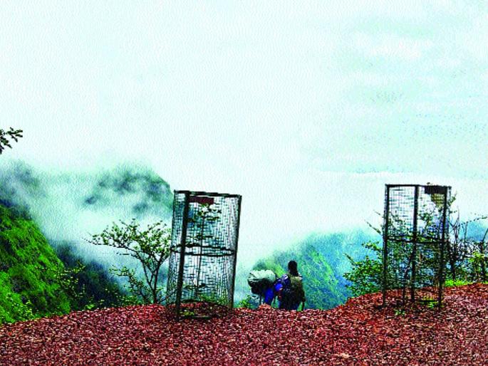 Points in Matheran are dangerous for tourists | माथेरानमधील पॉइंट्स पर्यटकांसाठी धोकादायक, सेल्फीच्या नादात जीवघेणी कसरत Points in Matheran are dangerous for tourists | माथेरानमधील पॉइंट्स पर्यटकांसाठी धोकादायक, सेल्फीच्या नादात जीवघेणी कसरत