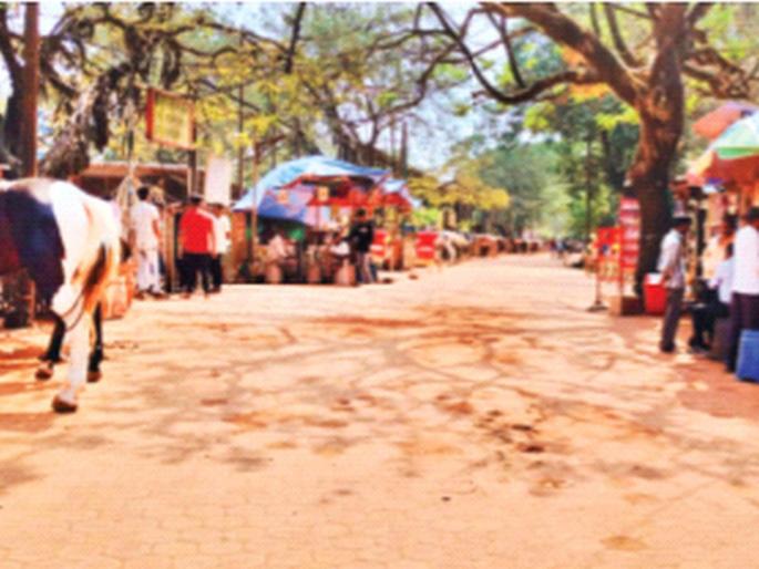 Shukshukat in Matheran; Hatriksha strike against inhuman practice; Inconvenience of tourists | माथेरानमध्ये शुकशुकाट; अमानवी प्रथेविरुद्ध हातरिक्षाचा संप; पर्यटकांची गैरसोय Shukshukat in Matheran; Hatriksha strike against inhuman practice; Inconvenience of tourists | माथेरानमध्ये शुकशुकाट; अमानवी प्रथेविरुद्ध हातरिक्षाचा संप; पर्यटकांची गैरसोय