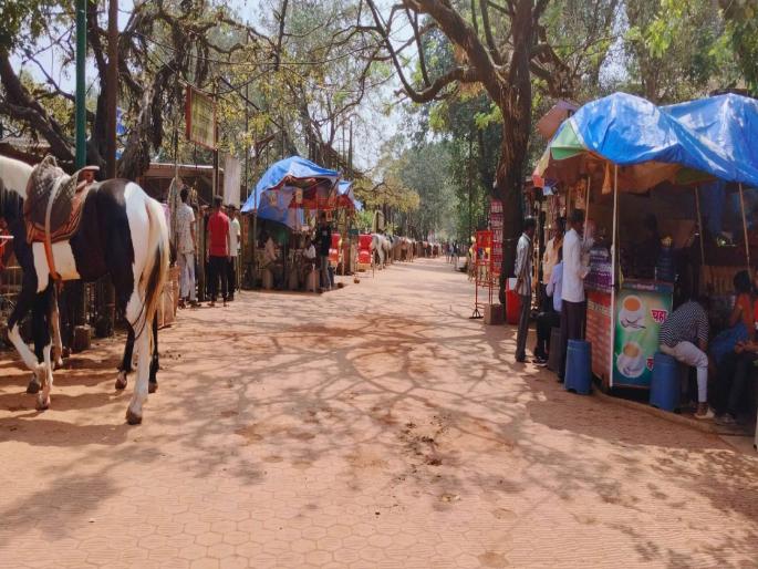 hill station matheran has getting started hotter in the last few days | थंड हवेच्या माथेरानला आता धोक्याची घंटा; तापमानवाढ कायम, बाजारपेठेत शुकशुकाट hill station matheran has getting started hotter in the last few days | थंड हवेच्या माथेरानला आता धोक्याची घंटा; तापमानवाढ कायम, बाजारपेठेत शुकशुकाट