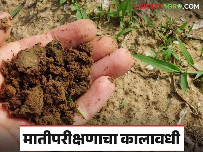 Latest News Soil Testing After how many years should soil test be done Know in detail | Soil Testing : मातीपरीक्षण किती वर्षांनंतर करायला हवे? जाणून घ्या सविस्तर Latest News Soil Testing After how many years should soil test be done Know in detail | Soil Testing : मातीपरीक्षण किती वर्षांनंतर करायला हवे? जाणून घ्या सविस्तर