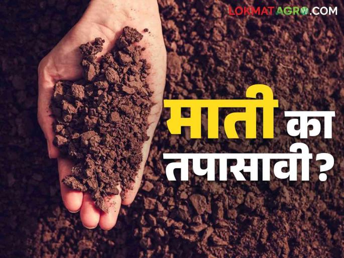 Mati Parikshan : After how many years should soil test be done to take care of soil health? | Mati Parikshan : मातीच्या तब्येतीची काळजी घेण्यासाठी किती वर्षांनी कराल माती परीक्षण? Mati Parikshan : After how many years should soil test be done to take care of soil health? | Mati Parikshan : मातीच्या तब्येतीची काळजी घेण्यासाठी किती वर्षांनी कराल माती परीक्षण?