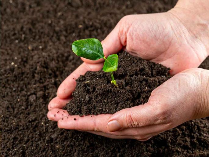 Soil test reports were not received on 10 thousand in Kolhapur district | कृषी विभागानेच शेतीची केली माती; कोल्हापूर जिल्ह्यात दहा हजारांवर माती परीक्षण अहवाल कपाटात पडून Soil test reports were not received on 10 thousand in Kolhapur district | कृषी विभागानेच शेतीची केली माती; कोल्हापूर जिल्ह्यात दहा हजारांवर माती परीक्षण अहवाल कपाटात पडून