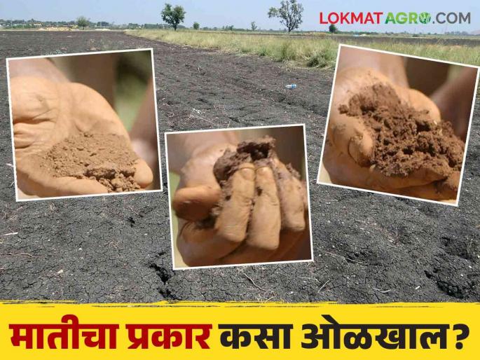 An easy way to identify the soil type of your farm Read more | आपल्या शेतातील मातीचा प्रकार ओळखण्याची सोपी पद्धत वाचा सविस्तर An easy way to identify the soil type of your farm Read more | आपल्या शेतातील मातीचा प्रकार ओळखण्याची सोपी पद्धत वाचा सविस्तर