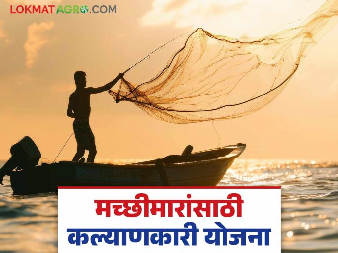 Latest News Agriculture News welfare scheme implemented for fishermen of country, know the details | Agriculture News : देशातील मच्छीमारांसाठी 'या' कल्याणकारी योजना कार्यान्वित, जाणून घ्या सविस्तर  Latest News Agriculture News welfare scheme implemented for fishermen of country, know the details | Agriculture News : देशातील मच्छीमारांसाठी 'या' कल्याणकारी योजना कार्यान्वित, जाणून घ्या सविस्तर