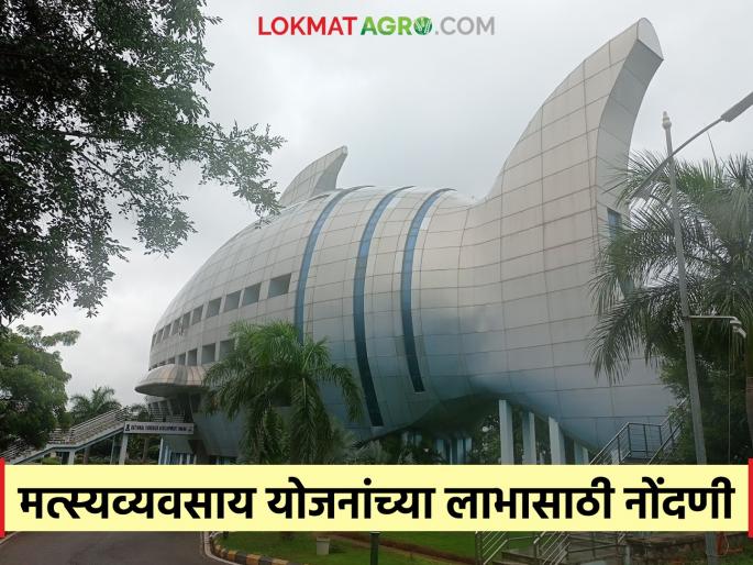Latest News Agriculture News Invitation to register for benefits of fisheries schemes, register here  | Agriculture News : मत्स्यव्यवसाय योजनांच्या लाभासाठी नोंदणी करण्याचे आवाहन, इथे करा नोंदणी  Latest News Agriculture News Invitation to register for benefits of fisheries schemes, register here  | Agriculture News : मत्स्यव्यवसाय योजनांच्या लाभासाठी नोंदणी करण्याचे आवाहन, इथे करा नोंदणी