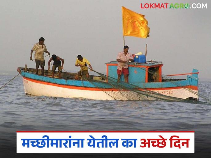 Fishing has been granted the status of agriculture, but will the good days come for the fishermen? | मत्स्य व्यवसायाला कृषीचा दर्जा प्राप्त पण मच्छीमार बांधवांसाठी येतील का सुगीचे दिवस? Fishing has been granted the status of agriculture, but will the good days come for the fishermen? | मत्स्य व्यवसायाला कृषीचा दर्जा प्राप्त पण मच्छीमार बांधवांसाठी येतील का सुगीचे दिवस?