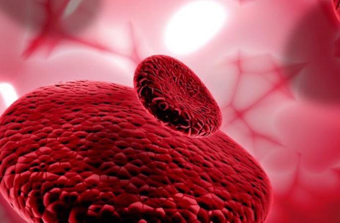 Thalassemia patients' lives in danger! Shortage of medicines since a month | थॅलेसेमियाच्या रुग्णांचा जीव धोक्यात! महिनाभरापासून औषधांचा तुटवडा Thalassemia patients' lives in danger! Shortage of medicines since a month | थॅलेसेमियाच्या रुग्णांचा जीव धोक्यात! महिनाभरापासून औषधांचा तुटवडा