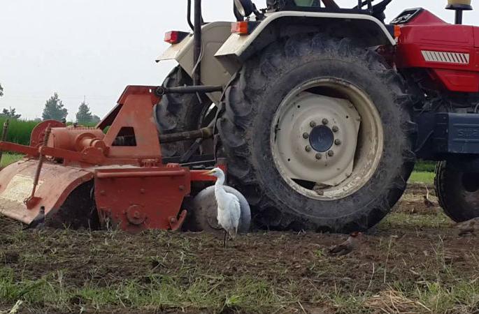 Proposal of Rs 50 crores for Solapur district, tractor, power tiller, demand for a scheme for tractors running on collective farmland! | सामूहिक शेततळ्यासाठी सोलापूर जिल्ह्याचा ५० कोटींचा प्रस्ताव, ट्रॅक्टर, पॉवर टिलर, ट्रॅक्टरवर चालणाºया अवजारांसाठी तरतूद वाढविण्याची मागणी ! Proposal of Rs 50 crores for Solapur district, tractor, power tiller, demand for a scheme for tractors running on collective farmland! | सामूहिक शेततळ्यासाठी सोलापूर जिल्ह्याचा ५० कोटींचा प्रस्ताव, ट्रॅक्टर, पॉवर टिलर, ट्रॅक्टरवर चालणाºया अवजारांसाठी तरतूद वाढविण्याची मागणी !