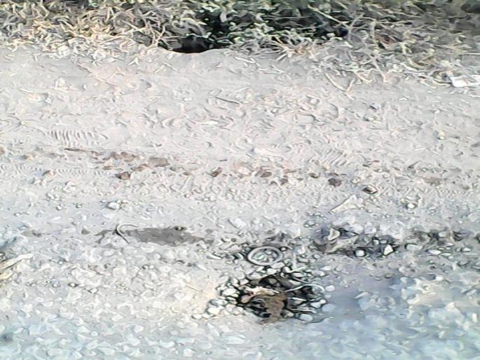 malharpeth-pandharpur statehighway condition | मल्हारपेठ-पंढरपूर राज्य मार्गावरील पुलाला भगदाड पडल्याने वाहनचालकांची कसरत, हजारो विद्यार्थ्यांचा जीव मुठीत घेऊन प्रवास malharpeth-pandharpur statehighway condition | मल्हारपेठ-पंढरपूर राज्य मार्गावरील पुलाला भगदाड पडल्याने वाहनचालकांची कसरत, हजारो विद्यार्थ्यांचा जीव मुठीत घेऊन प्रवास