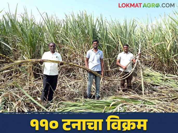 Young Farmer Success Story : MBA highly educated Shubham reaches 110 ton production in sugarcane farming Read more | Young Farmer Success Story : एमबीए उच्च शिक्षित शुभमने ऊस शेतीत गाठला ११० टनाचा टप्पा वाचा सविस्तर Young Farmer Success Story : MBA highly educated Shubham reaches 110 ton production in sugarcane farming Read more | Young Farmer Success Story : एमबीए उच्च शिक्षित शुभमने ऊस शेतीत गाठला ११० टनाचा टप्पा वाचा सविस्तर