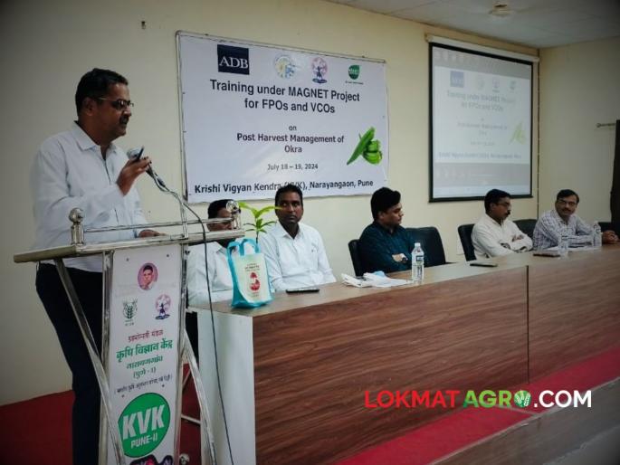 Successfully completed Okra Postharvest Management Training at Krishi Vigyan Kendra Narayangaon under MAGNET project | मॅग्नेट प्रकल्पांतर्गत कृषी विज्ञान केंद्र येथे भेंडी काढणी पश्चात व्यवस्थापन प्रशिक्षण कार्यक्रम संपन्न Successfully completed Okra Postharvest Management Training at Krishi Vigyan Kendra Narayangaon under MAGNET project | मॅग्नेट प्रकल्पांतर्गत कृषी विज्ञान केंद्र येथे भेंडी काढणी पश्चात व्यवस्थापन प्रशिक्षण कार्यक्रम संपन्न
