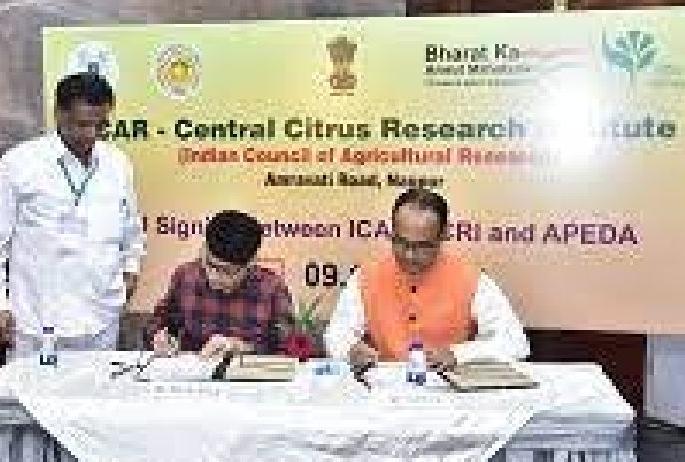 icar-ccri Nagpur signs MoU with APEDA Ministry of Commerce & Industry | नागपुरी संत्रा, माेसंबी निर्यातीचा मार्ग प्रशस्त