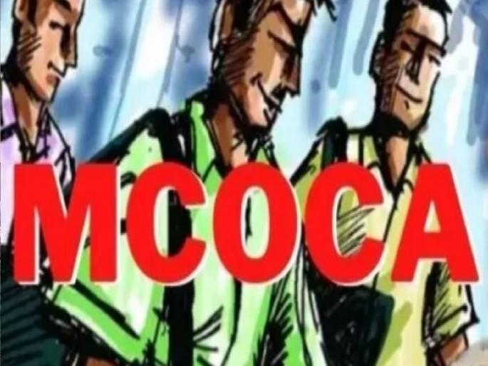 Charge sheet filed against gang of three in Karad under Mokka, Gram Panchayat member included | Satara: कऱ्हाडमधील तिघांच्या टोळीवर ‘मोक्का’अंतर्गत दोषारोपपत्र दाखल, ग्रामपंचायत सदस्याचा समावेश Charge sheet filed against gang of three in Karad under Mokka, Gram Panchayat member included | Satara: कऱ्हाडमधील तिघांच्या टोळीवर ‘मोक्का’अंतर्गत दोषारोपपत्र दाखल, ग्रामपंचायत सदस्याचा समावेश