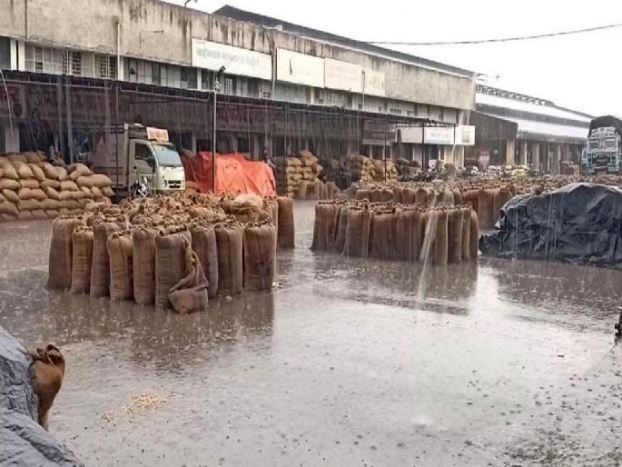 Hailstorm hit six times in 40 days, affected five thousand hectares | ४० दिवसात सहा वेळा गारपिटचा मार, पाच हजार हेक्टर बाधित Hailstorm hit six times in 40 days, affected five thousand hectares | ४० दिवसात सहा वेळा गारपिटचा मार, पाच हजार हेक्टर बाधित