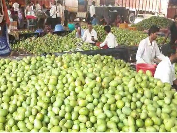 Inflow of mangoes decreased in Kalmana market; Increase in rates due to decline in income | कळमना मार्केटमध्ये आंब्यांची आवक घटली; आवक घटल्यामुळे दरांमध्ये वाढ