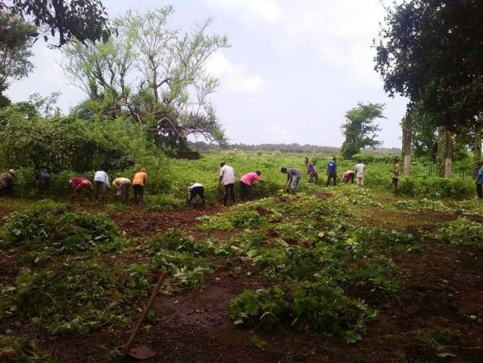 Cleaning of Borleipanatan Cemetery | बोर्लीपंचतन स्मशानभूमीची स्वच्छता Cleaning of Borleipanatan Cemetery | बोर्लीपंचतन स्मशानभूमीची स्वच्छता