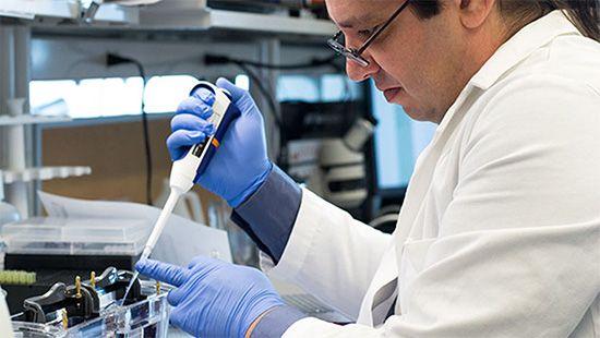 DMER's divisional office in Nagpur! | ‘डीएमईआर’चे विभागीय कार्यालय नागपुरात! DMER's divisional office in Nagpur! | ‘डीएमईआर’चे विभागीय कार्यालय नागपुरात!