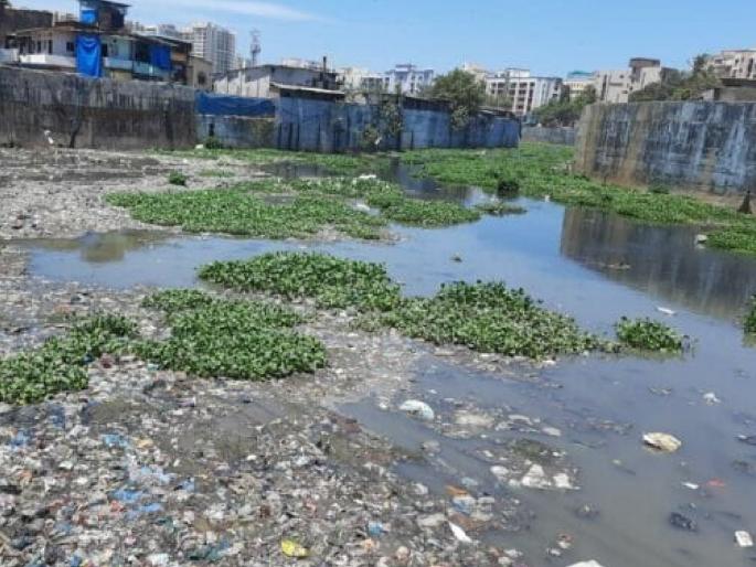 Investigation into constructions in 'Mithi' buffer zone; Union Forest and Climate Change Department takes serious note | ‘मिठी’ बफर झोनमधील बांधकामांची चौकशी; केंद्रीय वन, वातावरण बदल खात्याने घेतली गंभीर दखल Investigation into constructions in 'Mithi' buffer zone; Union Forest and Climate Change Department takes serious note | ‘मिठी’ बफर झोनमधील बांधकामांची चौकशी; केंद्रीय वन, वातावरण बदल खात्याने घेतली गंभीर दखल