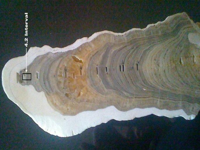 ‘Meghalayan Age’: Latest phase in Earth’s history named after Meghalaya | लोकहो! हे कलियुग नाही, तर 'मेघालय युग'; शास्त्रज्ञांनी लावला महत्त्वपूर्ण शोध