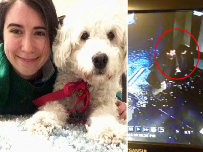 glass door fell on woman; compensation of ₹292 crore will now have to be paid | महिलेच्या अंगावर पडला काचेचा दरवाजा; आता द्यावी लागणार ₹292 कोटींची नुकसान भरपाई glass door fell on woman; compensation of ₹292 crore will now have to be paid | महिलेच्या अंगावर पडला काचेचा दरवाजा; आता द्यावी लागणार ₹292 कोटींची नुकसान भरपाई