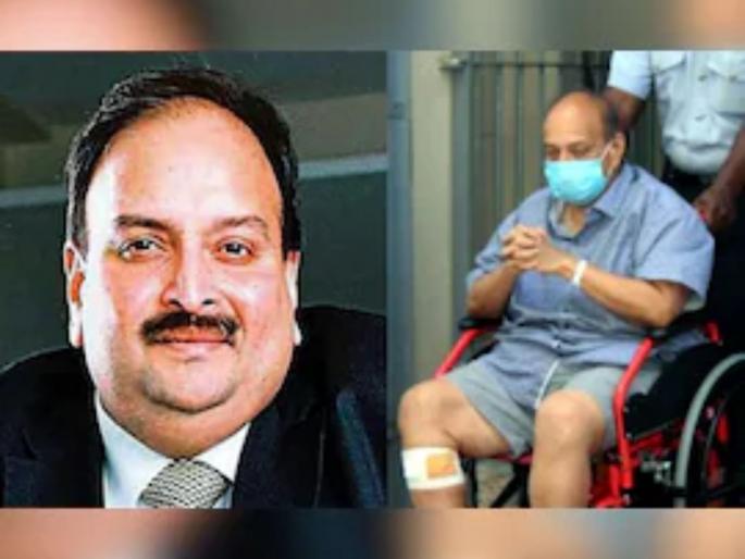 Mehul Choksi: Handcuffed while preparing to flee to Switzerland | Mehul Choksi: स्वित्झर्लंडला पळून जाण्याच्या तयारीत असतानाच ठोकल्या बेड्या Mehul Choksi: Handcuffed while preparing to flee to Switzerland | Mehul Choksi: स्वित्झर्लंडला पळून जाण्याच्या तयारीत असतानाच ठोकल्या बेड्या